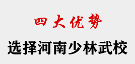 选择登封嵩山少林武术学校的理由